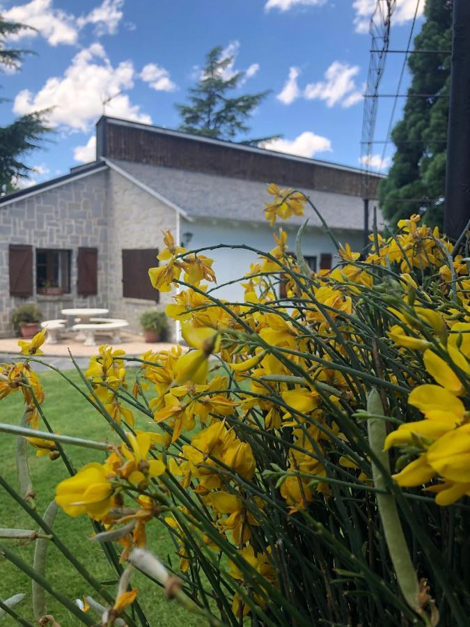 Villa Aurelia - Casa De Campo Con Jardin Y Piscina Entre Madrid Y Segovia Ortigosa del Monte Екстериор снимка